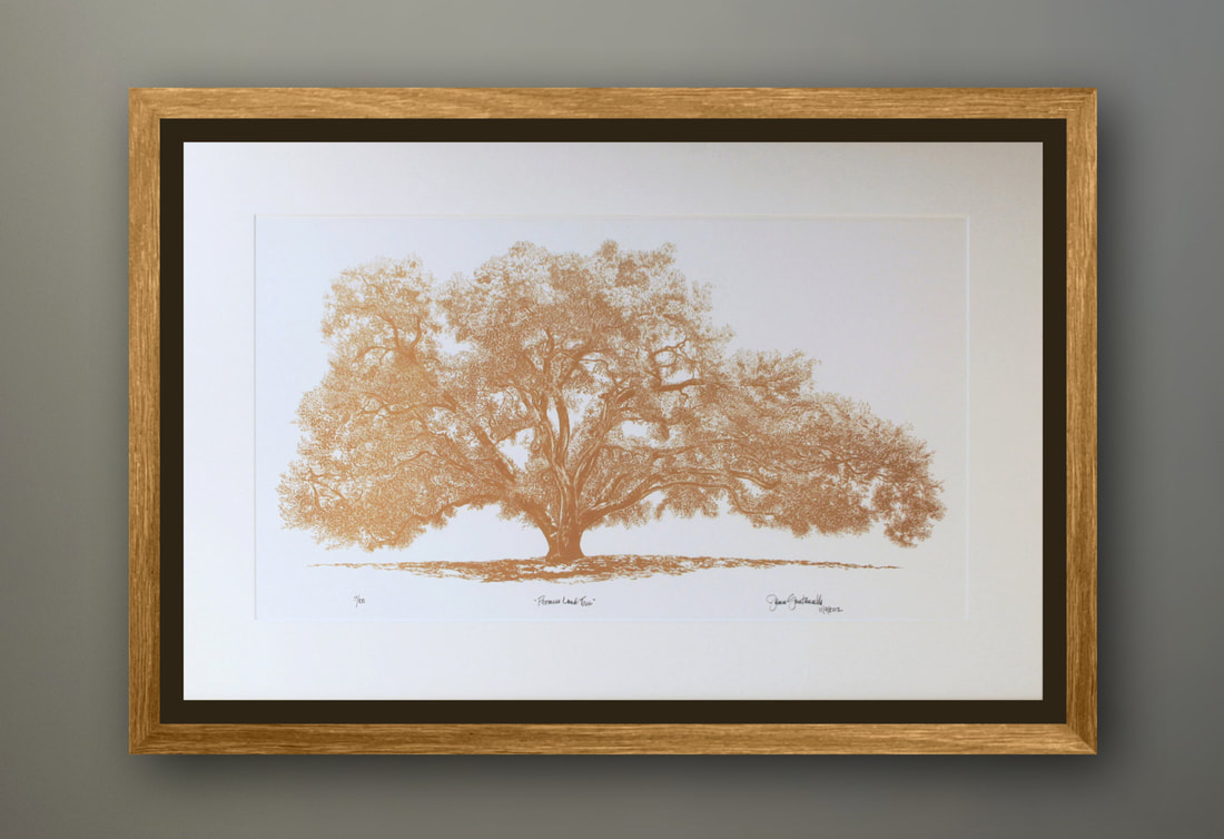 Promise Land Tara II Oak Tree Limited Edition Lithograph Prints by artist Jamie Santaniello created for Ms Oprah Winfrey's backsplash stone mural in 2003. This is the actual shape of Oprah's Favorite Oak Tree on her Montecito Estate she calls her Promised Land, formally called Tara ll. The tree drawing was sliced on the left side and redrawn to symmetrically fit the shape of the arched Jerusalem stone slab for Oprah's backsplash. 