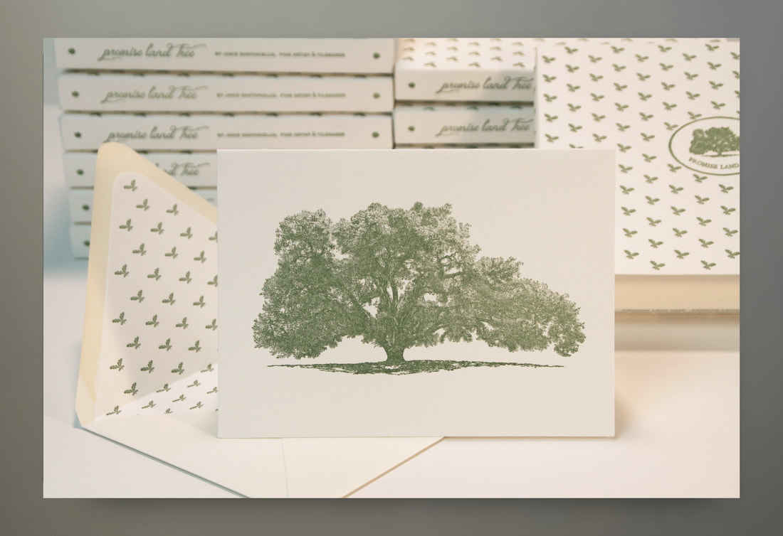 Promise Land Tara II Oak Tree Limited Edition Letter Press Cards also make beautiful small prints by artist Jamie Santaniello created for Ms Oprah Winfrey's backsplash stone mural in 2003. This is the actual shape of Oprah's Favorite Oak Tree on her Montecito Estate she calls her Promised Land, formally called Tara ll. The tree drawing was sliced on the left side and recreated to symmetrically fit the shape of the arched Jerusalem stone slab for Oprah's backsplash. Box of 6 cards/prints/6 envelopes.