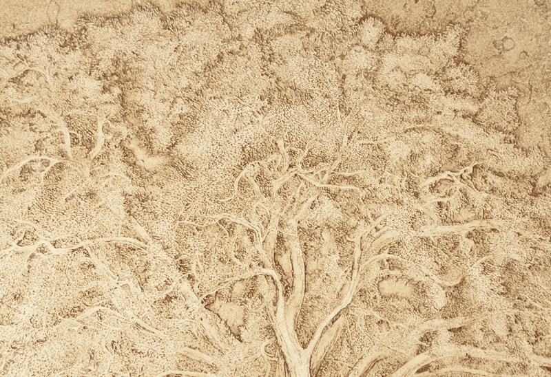 Detail closeup of hand carved Jerusalem stone slab mural for Oprah Winfrey in 2003 by artist Jamie Santaniello. Project was for Oprah's backsplash in her Montecito, Ca kitchen backsplash on her Promised Land property. The carving is of her favorite centuries old oak tree on her Promise Land.
jamiesantaniello.com Copyright©JS2003