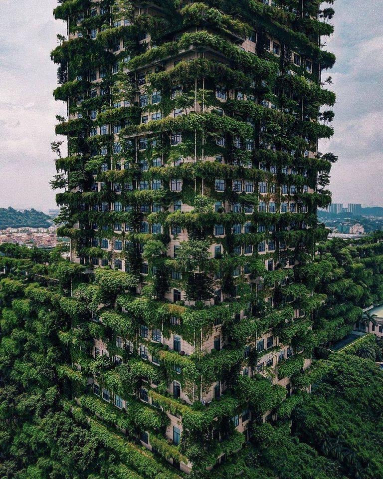 Highrise Building sequestering co2 producing oxygen naturally