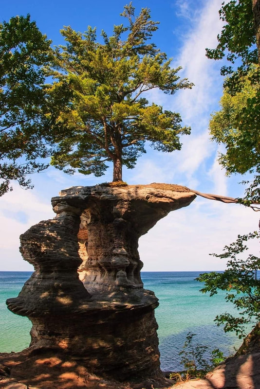 The lucky tree on Chapel Rock, Lake Superior, Mi
[White pine]  Shows how nature can take hold in precarious places.