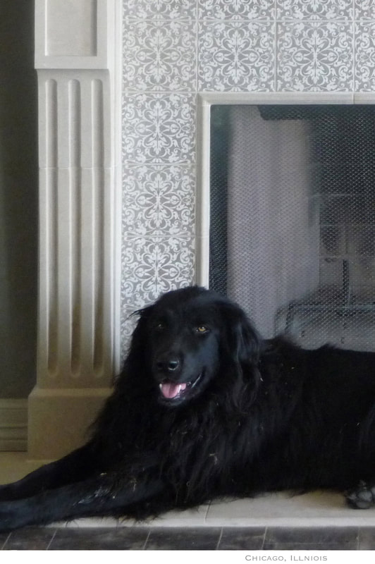 Artist Jamie Santaniello
Chicago, Illinois / Fireplace Tile Surround - Historical Renditions -WTS66-362 -  [6x6] Hand Carved Botticino Honed - Noce stain. 
jamiesantaniello.com Copyright©JS2012